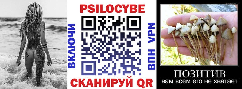 Галлюциногенные грибы Cubensis  как найти закладки  Нефтекумск 